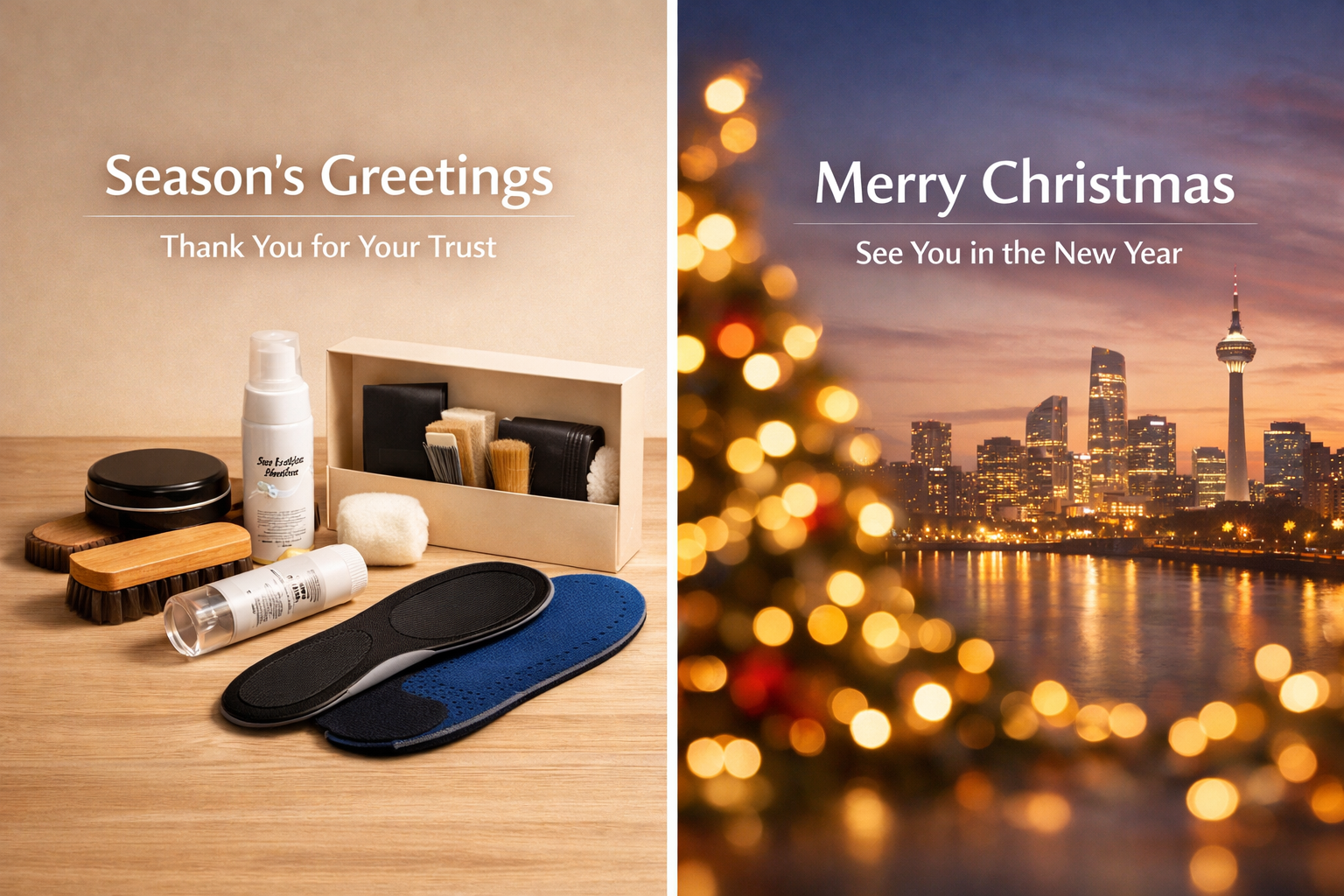 Private label shoe care kit