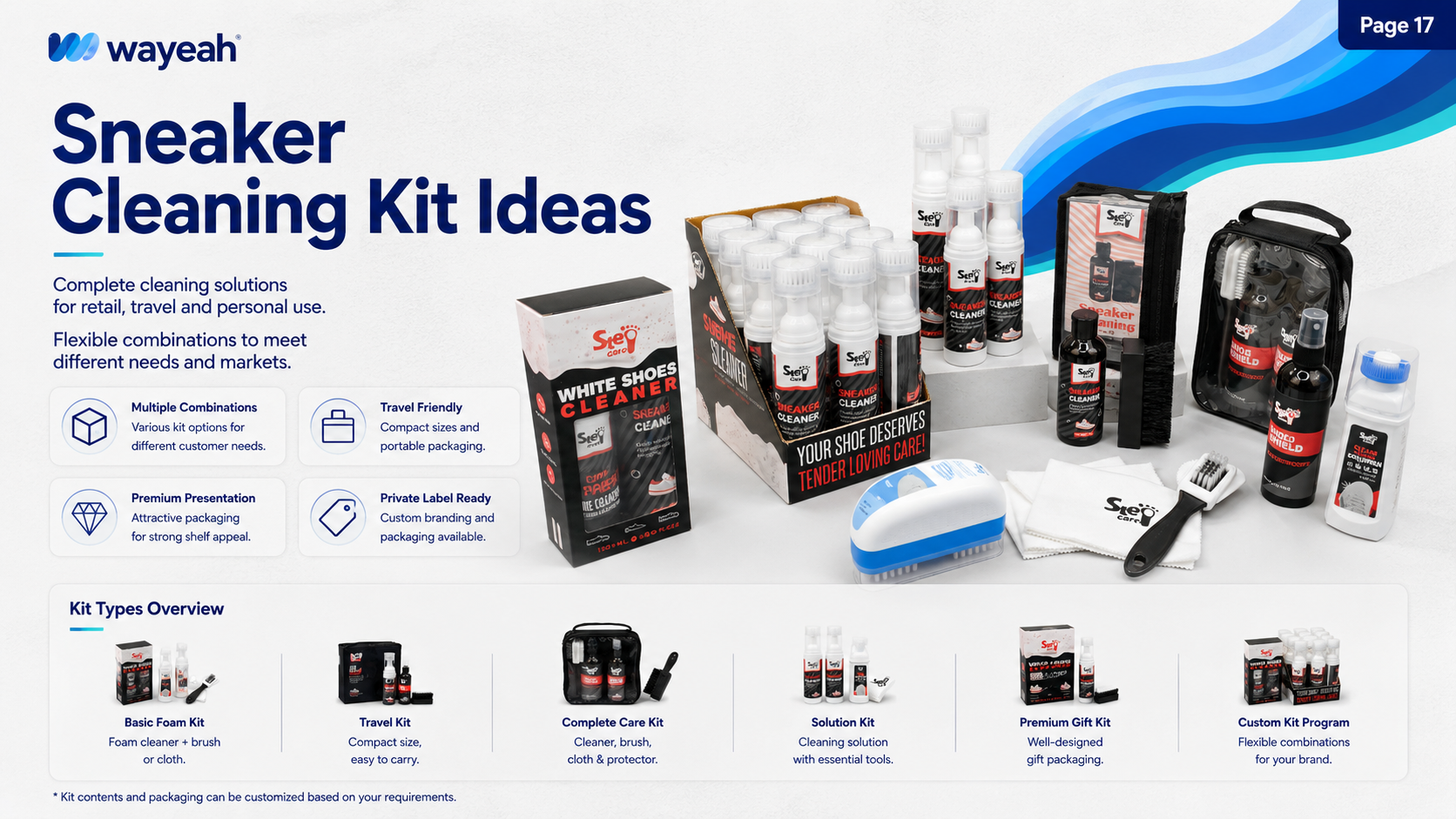 shoe care set2
